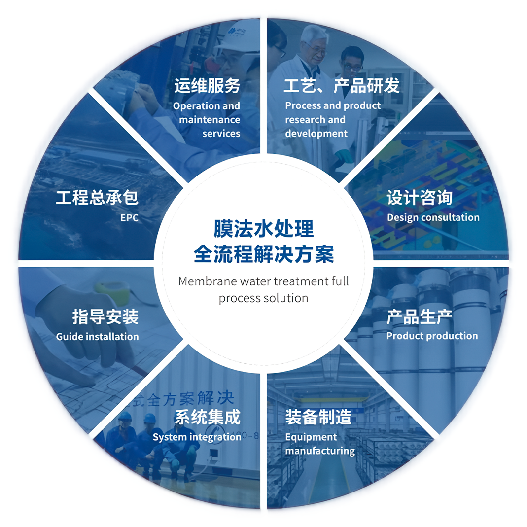 组 12.png